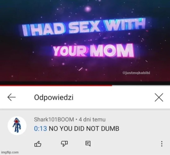 0:13 NO YOU DID NOT DUMB | made w/ Imgflip meme maker