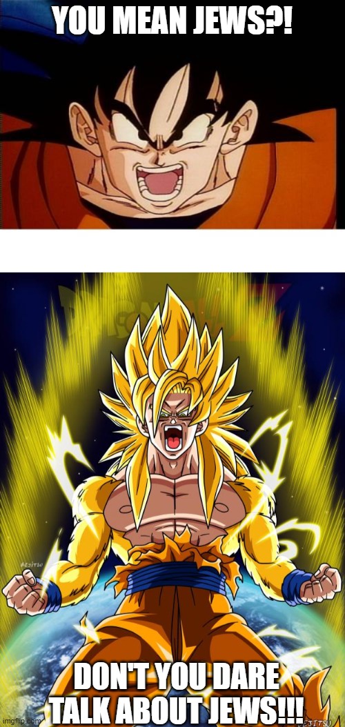 YOU MEAN JEWS?! DON'T YOU DARE TALK ABOUT JEWS!!! | image tagged in memes,crosseyed goku,goku | made w/ Imgflip meme maker