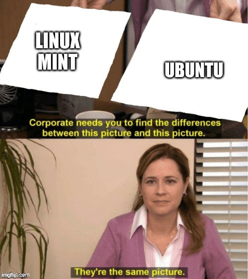 They’re the same thing | LINUX MINT; UBUNTU | image tagged in they re the same thing | made w/ Imgflip meme maker
