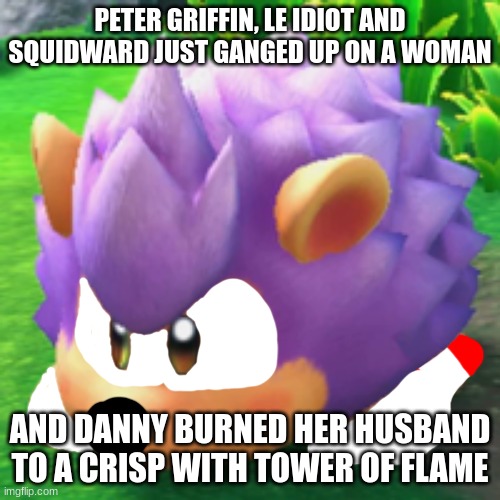 Kirby Sonic | PETER GRIFFIN, LE IDIOT AND SQUIDWARD JUST GANGED UP ON A WOMAN; AND DANNY BURNED HER HUSBAND TO A CRISP WITH TOWER OF FLAME | image tagged in kirby sonic | made w/ Imgflip meme maker