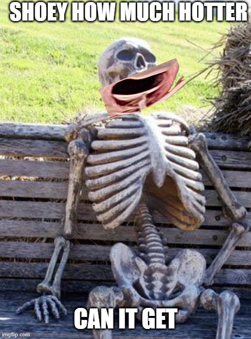 Waiting Skeleton Meme | SHOEY HOW MUCH HOTTER; CAN IT GET | image tagged in memes,waiting skeleton | made w/ Imgflip meme maker