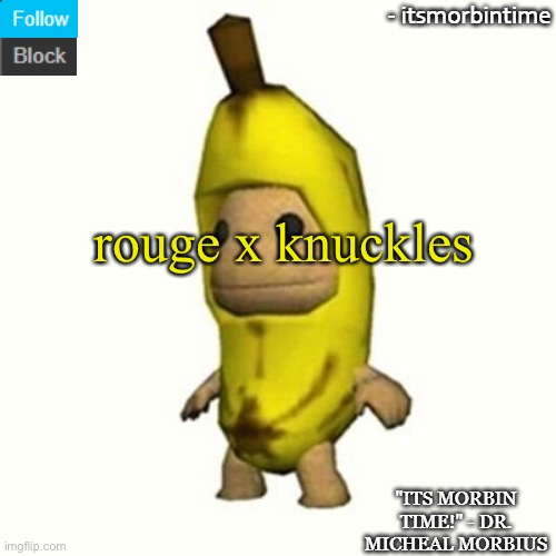 rouge x knuckles | rouge x knuckles | image tagged in rouge x knuckles | made w/ Imgflip meme maker