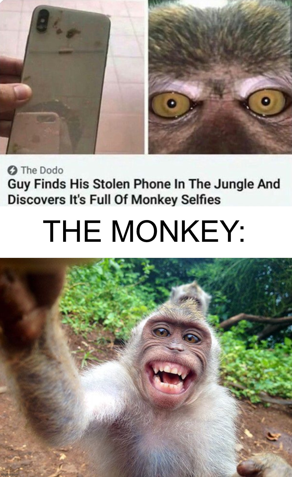 Monke | THE MONKEY: | image tagged in memes,funny,monke,monkey,selfie,oop | made w/ Imgflip meme maker