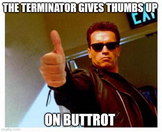 terminator thumbs up | THE TERMINATOR GIVES THUMBS UP; ON BUTTROT | image tagged in terminator thumbs up | made w/ Imgflip meme maker
