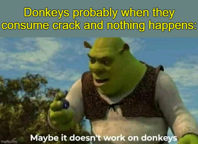 . | Donkeys probably when they consume crack and nothing happens: | image tagged in maybe it doesn't work on donkeys | made w/ Imgflip meme maker