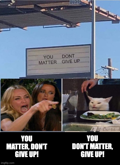 You matter | YOU DON'T MATTER, GIVE UP! YOU MATTER, DON'T GIVE UP! | image tagged in cat lady | made w/ Imgflip meme maker
