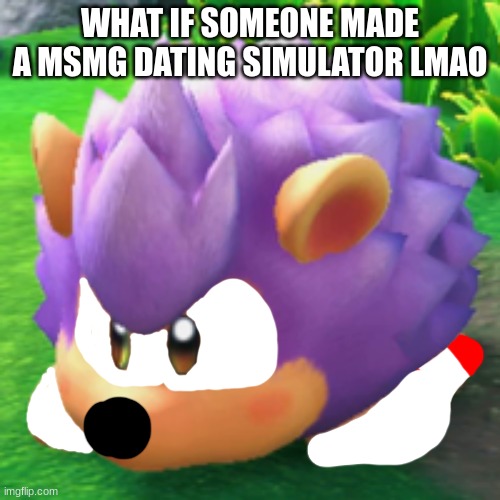 Kirby Sonic | WHAT IF SOMEONE MADE A MSMG DATING SIMULATOR LMAO | image tagged in kirby sonic | made w/ Imgflip meme maker