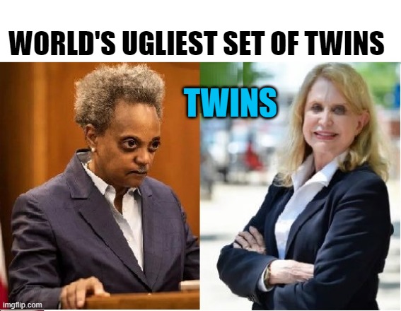 World's Ugliest Set of Twins | WORLD'S UGLIEST SET OF TWINS; TWINS | image tagged in maloney lightfoot | made w/ Imgflip meme maker