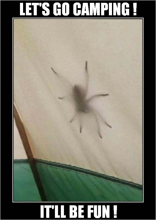 That's A Big Spider ! | LET'S GO CAMPING ! IT'LL BE FUN ! | image tagged in spiders,camping,it'll be fun | made w/ Imgflip meme maker