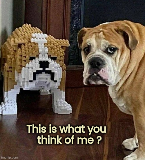 Lego my Dog |  This is what you
            think of me ? | image tagged in lego obstacle,does your dog bite,toys,tribute,true love | made w/ Imgflip meme maker