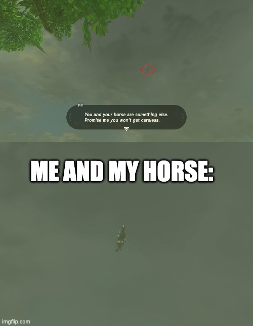 Moon Jump be liek | ME AND MY HORSE: | image tagged in the legend of zelda breath of the wild,glitch,zelda,legend of zelda,horse,screenshot | made w/ Imgflip meme maker