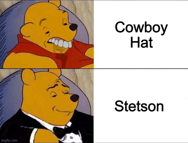 Two types of people | Cowboy Hat; Stetson | image tagged in cursed pooh tuxedo pooh | made w/ Imgflip meme maker