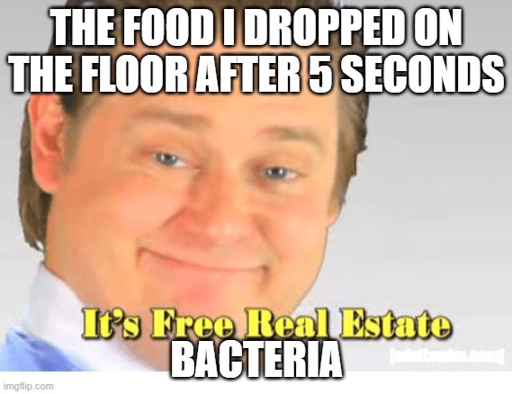 the bacteria after 5 seconds | THE FOOD I DROPPED ON THE FLOOR AFTER 5 SECONDS; BACTERIA | image tagged in it's free real estate | made w/ Imgflip meme maker