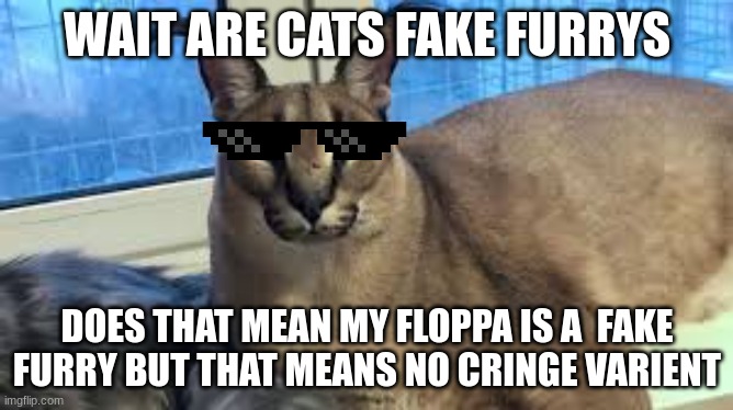 cats are fake furrys | WAIT ARE CATS FAKE FURRYS; DOES THAT MEAN MY FLOPPA IS A  FAKE FURRY BUT THAT MEANS NO CRINGE VARIENT | image tagged in funny,floppa | made w/ Imgflip meme maker