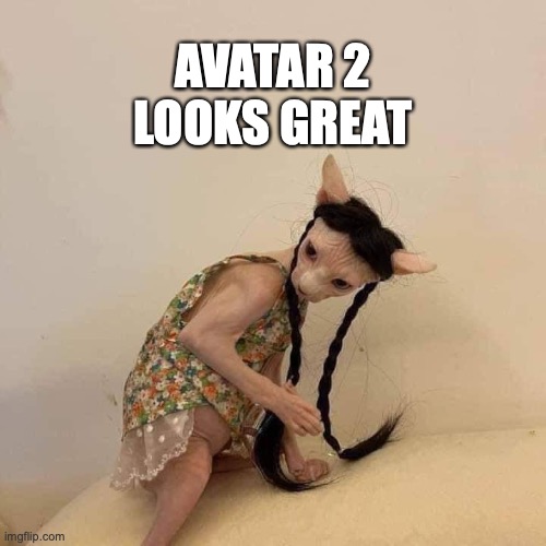 avatar 2 | AVATAR 2 LOOKS GREAT | image tagged in avatar | made w/ Imgflip meme maker