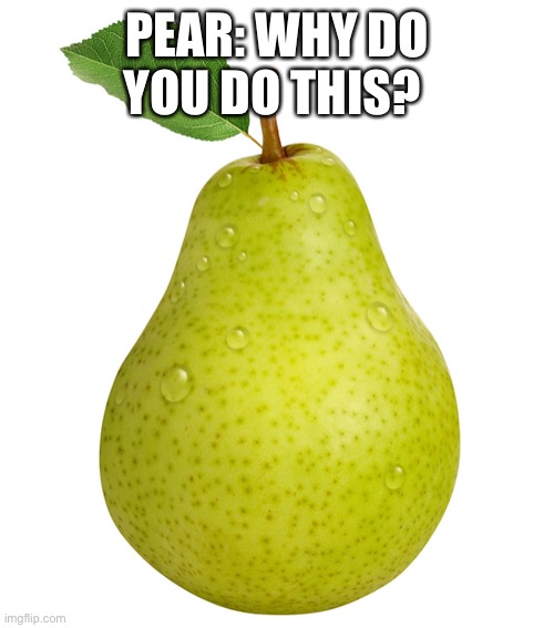 Pear | PEAR: WHY DO YOU DO THIS? | image tagged in pear | made w/ Imgflip meme maker