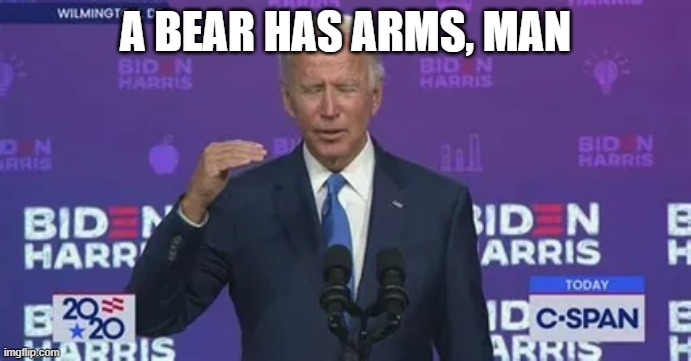 biden | A BEAR HAS ARMS, MAN | image tagged in joe biden | made w/ Imgflip meme maker