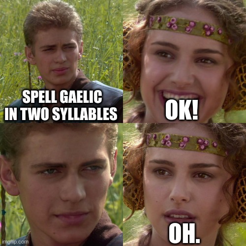 I'm not being homophobic please don't sue me. | SPELL GAELIC IN TWO SYLLABLES; OK! OH. | image tagged in anakin padme 4 panel,memes | made w/ Imgflip meme maker