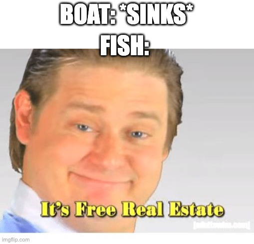 sinking be like | BOAT: *SINKS*; FISH: | image tagged in it's free real estate | made w/ Imgflip meme maker