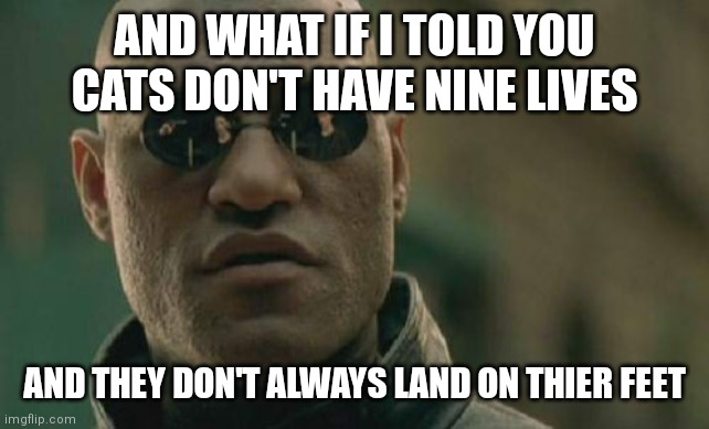 Matrix Morpheus Meme | AND WHAT IF I TOLD YOU CATS DON'T HAVE NINE LIVES AND THEY DON'T ALWAYS LAND ON THIER FEET | image tagged in memes,matrix morpheus | made w/ Imgflip meme maker