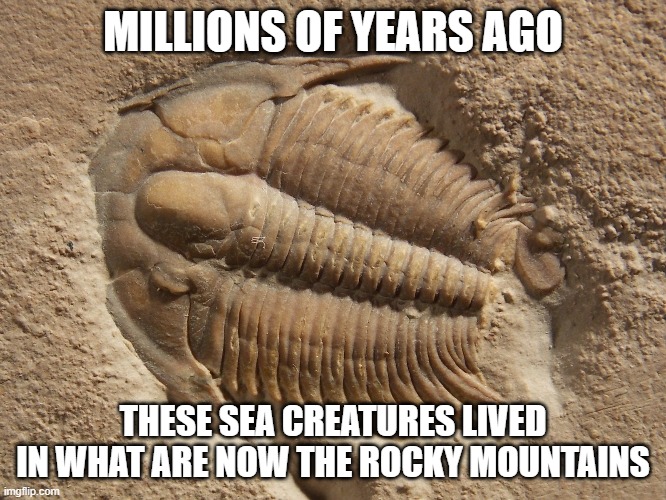 MILLIONS OF YEARS AGO THESE SEA CREATURES LIVED IN WHAT ARE NOW THE ROCKY MOUNTAINS | made w/ Imgflip meme maker