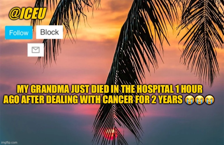 . | MY GRANDMA JUST DIED IN THE HOSPITAL 1 HOUR AGO AFTER DEALING WITH CANCER FOR 2 YEARS 😭😭😭 | image tagged in iceu summer template 1 | made w/ Imgflip meme maker