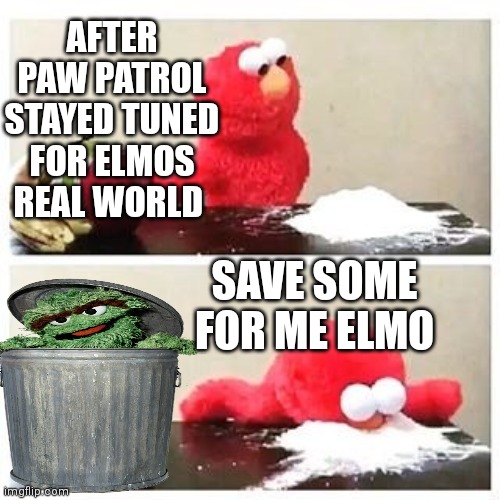 elmo cocaine | AFTER PAW PATROL STAYED TUNED FOR ELMOS REAL WORLD SAVE SOME FOR ME ELMO | image tagged in elmo cocaine | made w/ Imgflip meme maker