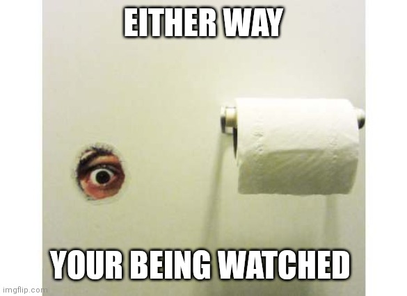 Bathroom Peeping Tom | EITHER WAY YOUR BEING WATCHED | image tagged in bathroom peeping tom | made w/ Imgflip meme maker