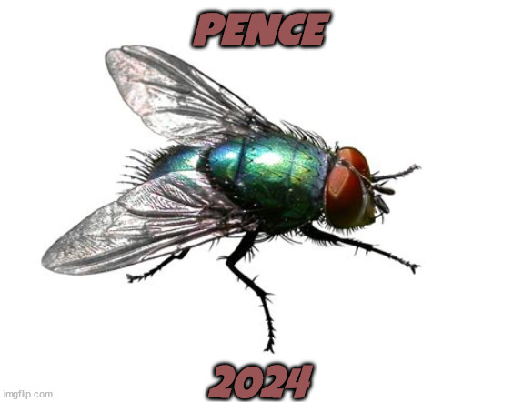 Pence 2024 | PENCE; 2024 | image tagged in mike pence,gop,rope bait,hanging,maga | made w/ Imgflip meme maker