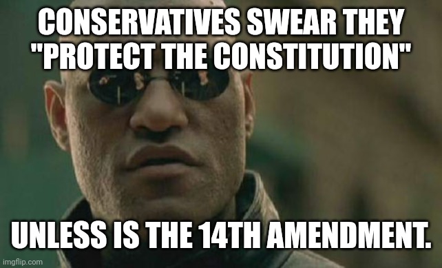 Screw the constitution | CONSERVATIVES SWEAR THEY "PROTECT THE CONSTITUTION"; UNLESS IS THE 14TH AMENDMENT. | image tagged in conservative,republican,trump,trump supporter,democrat,liberal | made w/ Imgflip meme maker