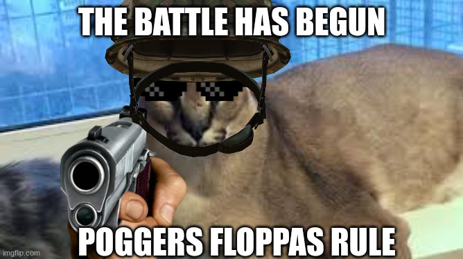 floppas  Are better than poggers | THE BATTLE HAS BEGUN; POGGERS FLOPPAS RULE | image tagged in floppa,funny | made w/ Imgflip meme maker