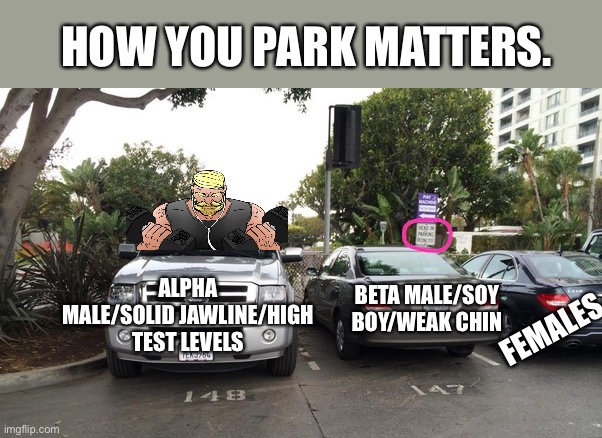 Reverse Parking High Testosterone | HOW YOU PARK MATTERS. BETA MALE/SOY BOY/WEAK CHIN; ALPHA MALE/SOLID JAWLINE/HIGH TEST LEVELS; FEMALES | image tagged in chad,soyboy vs yes chad,reverse | made w/ Imgflip meme maker