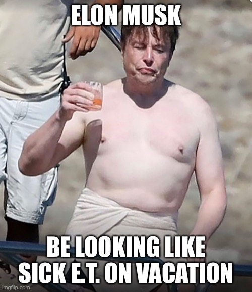 Elon Musk Vacation | ELON MUSK; BE LOOKING LIKE SICK E.T. ON VACATION | image tagged in elon musk,vacation,pale skin | made w/ Imgflip meme maker