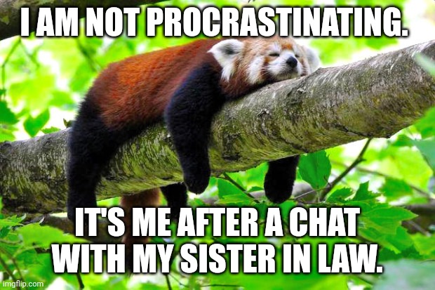 Procrastination | I AM NOT PROCRASTINATING. IT'S ME AFTER A CHAT WITH MY SISTER IN LAW. | image tagged in procrastination | made w/ Imgflip meme maker