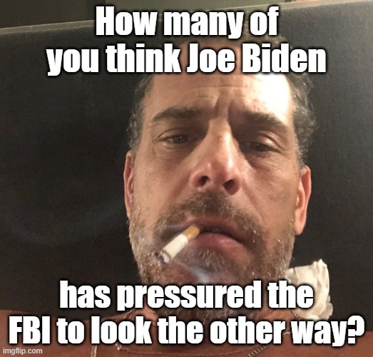 Hunter Biden: Under Investigation since 2018 | How many of you think Joe Biden; has pressured the FBI to look the other way? | image tagged in hunter biden,joe biden,fbi | made w/ Imgflip meme maker