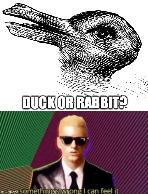 DUCK OR RABBIT? | image tagged in something's wrong i can feel it | made w/ Imgflip meme maker