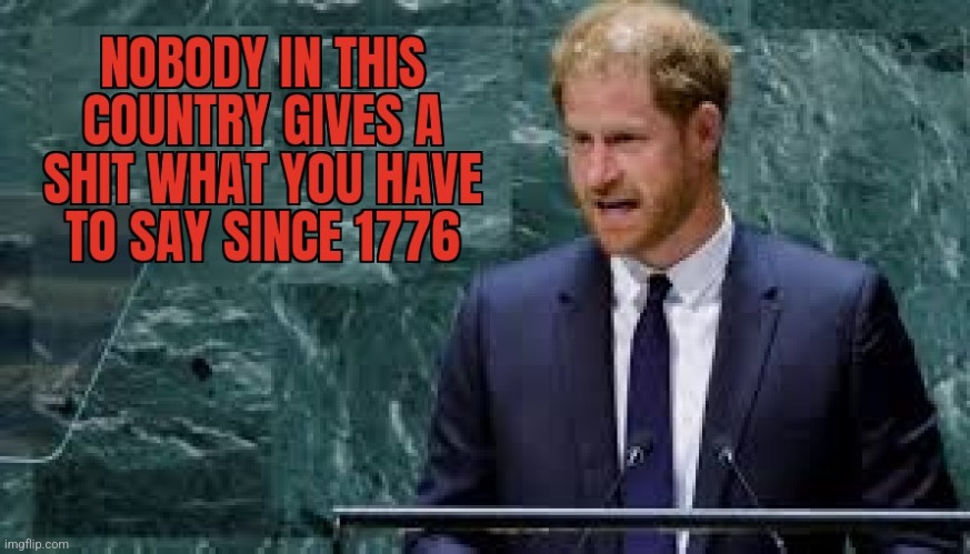 SHUT YOUR SPOTTED DICK GINGER PIE HOLE | image tagged in prince harry,united nations,go back | made w/ Imgflip meme maker