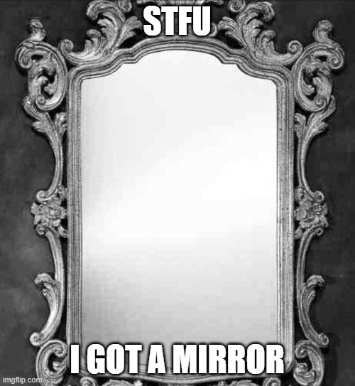 Mirror | STFU I GOT A MIRROR | image tagged in mirror | made w/ Imgflip meme maker