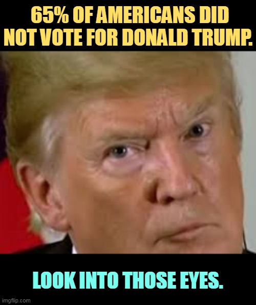 Trump never won the popular vote and never will. | 65% OF AMERICANS DID NOT VOTE FOR DONALD TRUMP. LOOK INTO THOSE EYES. | image tagged in trump eyes dilated,trump,election,loser,dilated | made w/ Imgflip meme maker