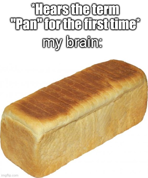 pan = bread | *Hears the term "Pan" for the first time*; my brain: | image tagged in breadddd | made w/ Imgflip meme maker