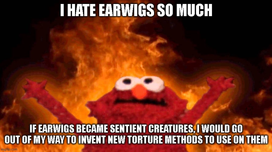 elmo fire | I HATE EARWIGS SO MUCH; IF EARWIGS BECAME SENTIENT CREATURES, I WOULD GO OUT OF MY WAY TO INVENT NEW TORTURE METHODS TO USE ON THEM | image tagged in elmo fire | made w/ Imgflip meme maker