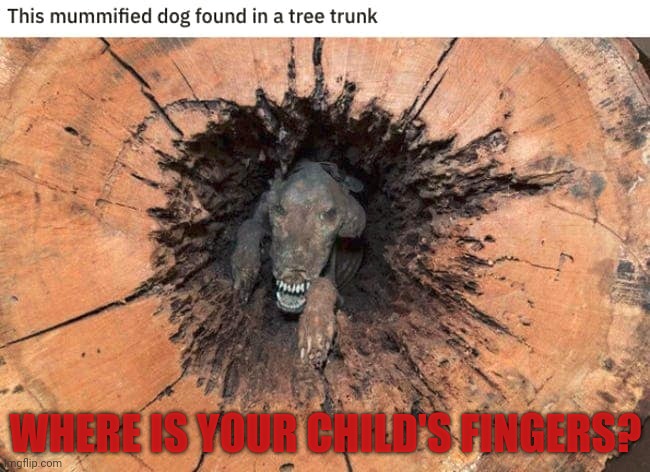 WHERE IS YOUR CHILD'S FINGERS? | made w/ Imgflip meme maker