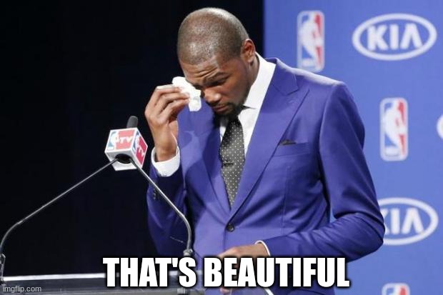 You The Real MVP 2 Meme | THAT'S BEAUTIFUL | image tagged in memes,you the real mvp 2 | made w/ Imgflip meme maker