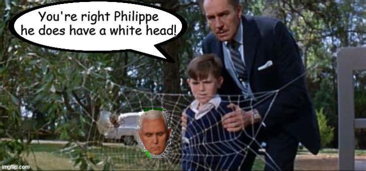 Pence tangled web | image tagged in mike pence | made w/ Imgflip meme maker