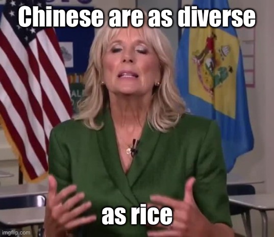 Jill Biden | Chinese are as diverse as rice | image tagged in jill biden | made w/ Imgflip meme maker