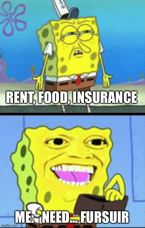 Spongebob money | RENT, FOOD, INSURANCE ME:   NEED… FURSUIT | image tagged in spongebob money | made w/ Imgflip meme maker