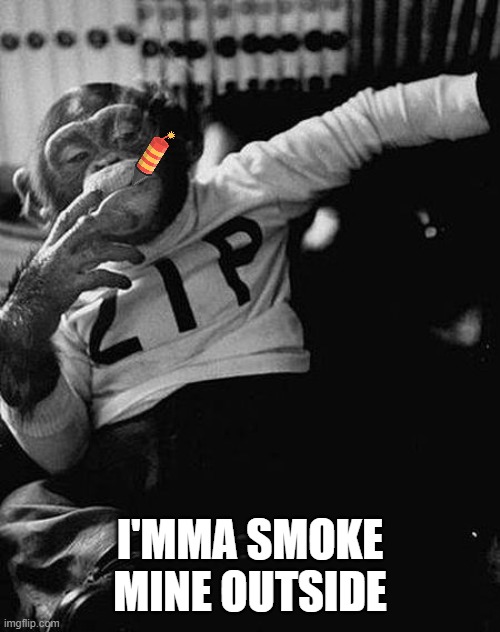 Zip the Smoking Chimp | I'MMA SMOKE MINE OUTSIDE | image tagged in zip the smoking chimp | made w/ Imgflip meme maker