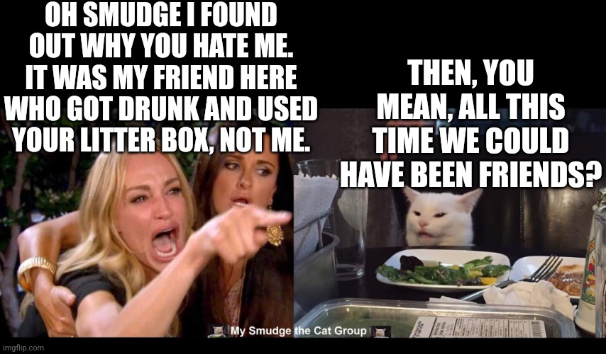 OH SMUDGE I FOUND OUT WHY YOU HATE ME. IT WAS MY FRIEND HERE WHO GOT DRUNK AND USED YOUR LITTER BOX, NOT ME. THEN, YOU MEAN, ALL THIS TIME WE COULD HAVE BEEN FRIENDS? | image tagged in smudge the cat | made w/ Imgflip meme maker