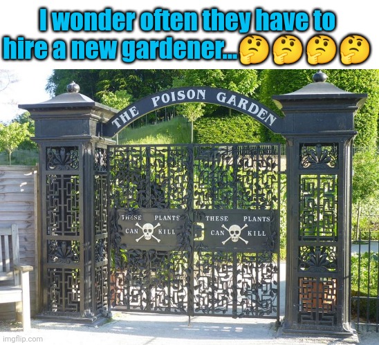 I bet they have a regular ad in the paper hiring... | I wonder often they have to hire a new gardener...🤔🤔🤔🤔 | image tagged in poison,garden,you're hired | made w/ Imgflip meme maker