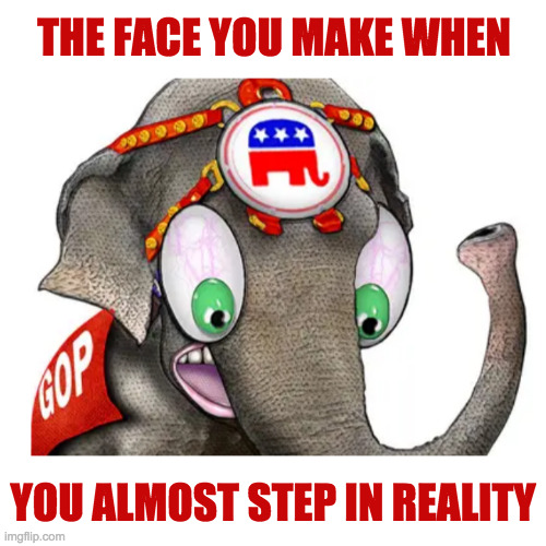 If it ever almost happened, I mean  ( : | THE FACE YOU MAKE WHEN; YOU ALMOST STEP IN REALITY | image tagged in the horror,memes,republicans | made w/ Imgflip meme maker